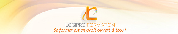 Logipro Formation